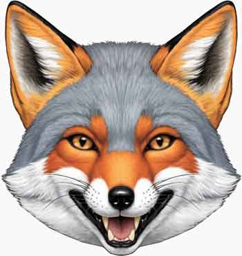 Grey Fox Studio